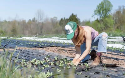 Farm Insurance