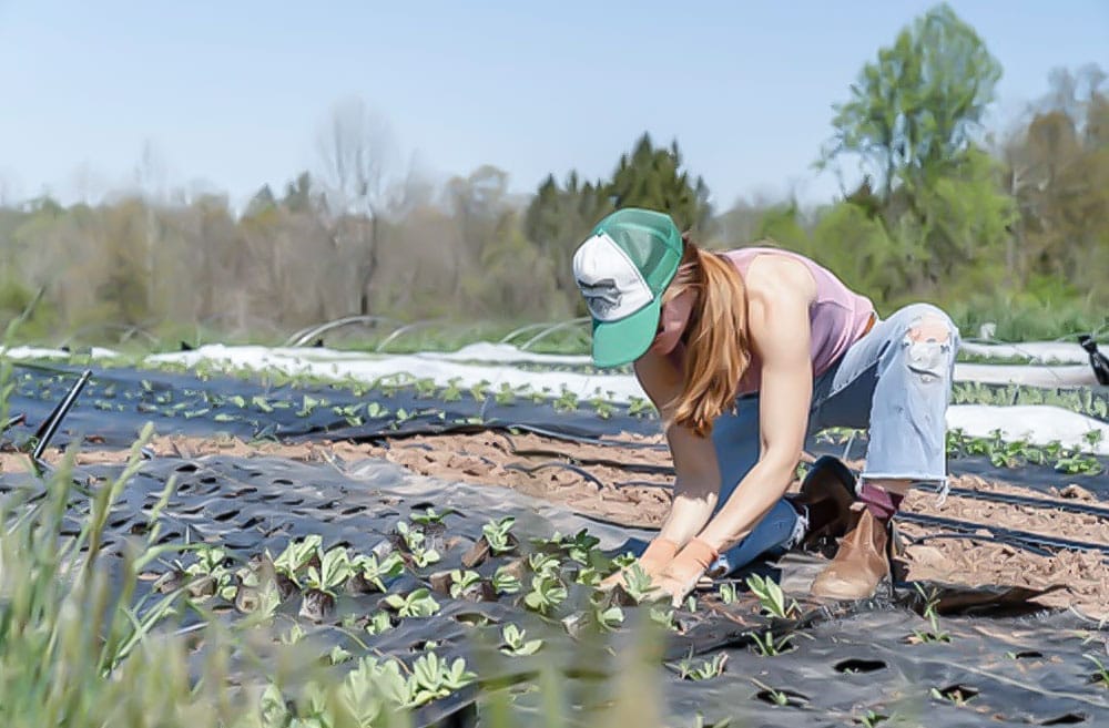 Farm Insurance
